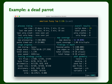 Terminal output showing a fuzzing session with AFL.